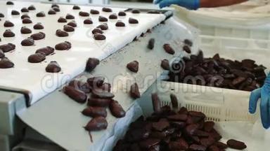 巧克力糖果躺在传送带上。 糖果厂。